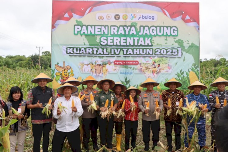 Kapolda NTT Pimpin Panen Raya Jagung Serentak di Kupang Barat, Dukung Swasembada Pangan Nasional