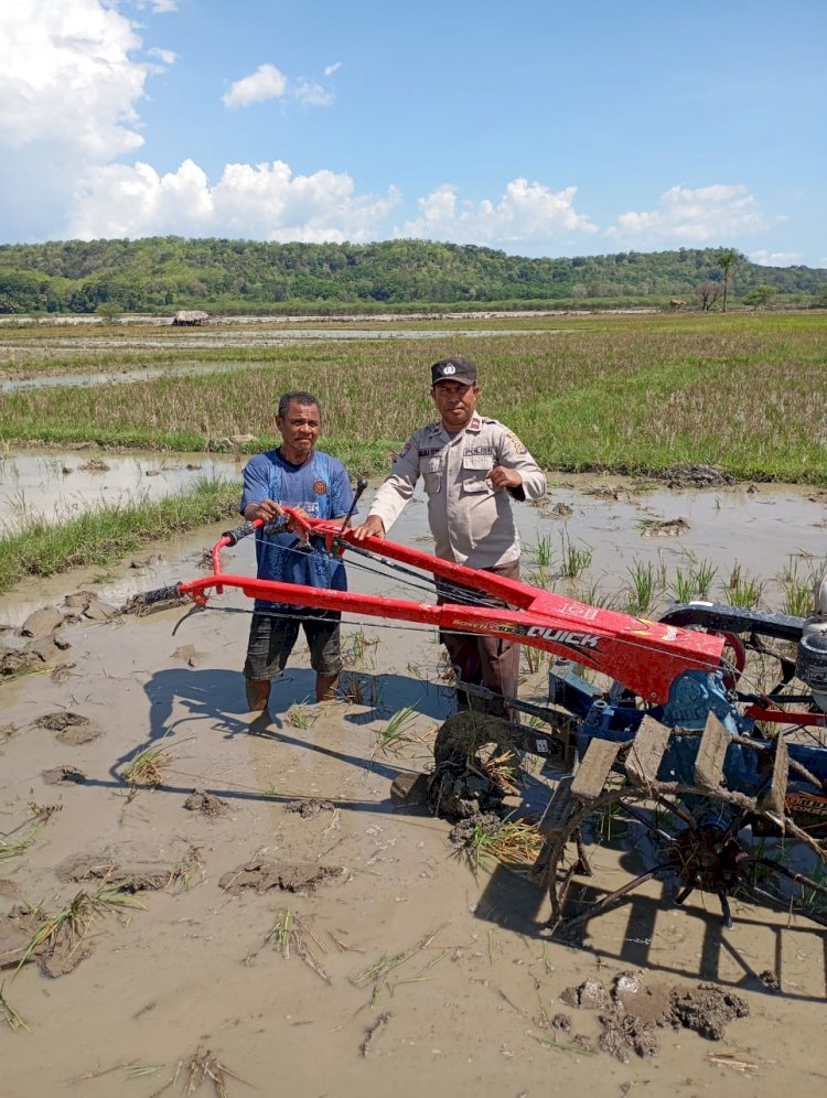 Demi Bantu Warga, Kanit Binmas Takari Rela Baju Dinas Berlumpur Dampingi Kelompok Tani