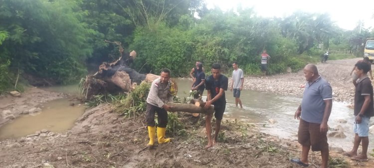 Pohon Tumbang Tutupi Akses Jalan Sulamu–Kupang, Polsek Sulamu Bersama Warga Lakukan Evakuasi