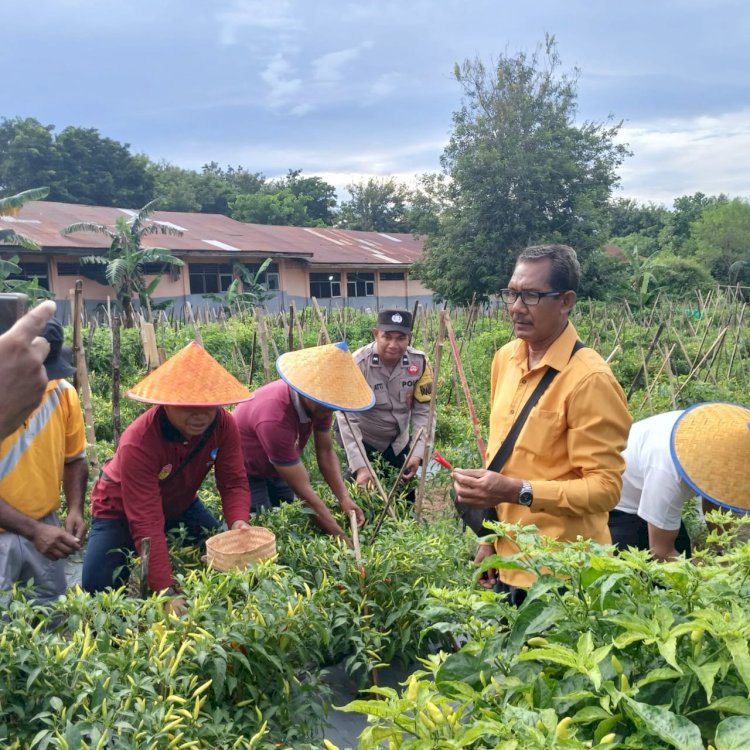 Polsek Kupang Timur Amankan Kegiatan Panen Perdana Gubernur NTT di SMA Negeri 1 Kupang Timur