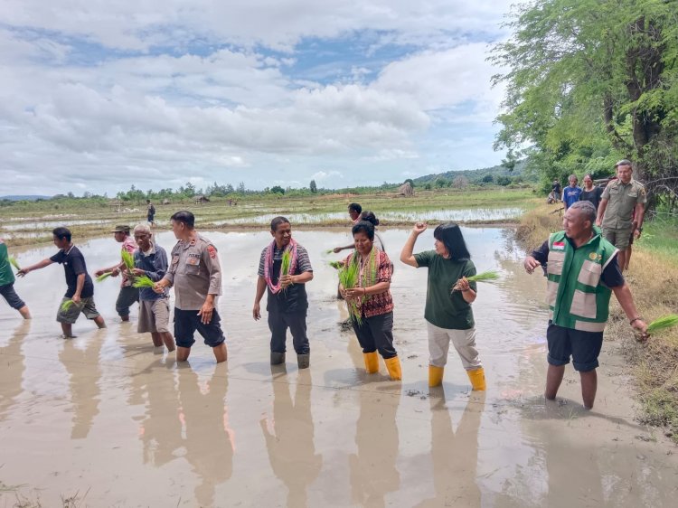 Kapolsek AOT Hadiri Penanaman Simbolis Padi Bersama Kelompok Tani di Oebibi