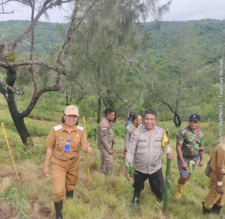 Bhabinkamtibmas Polsek Kupang Barat Bersama Pemda dan Warga Nekamese Tanam Bambu Cegah Longsor