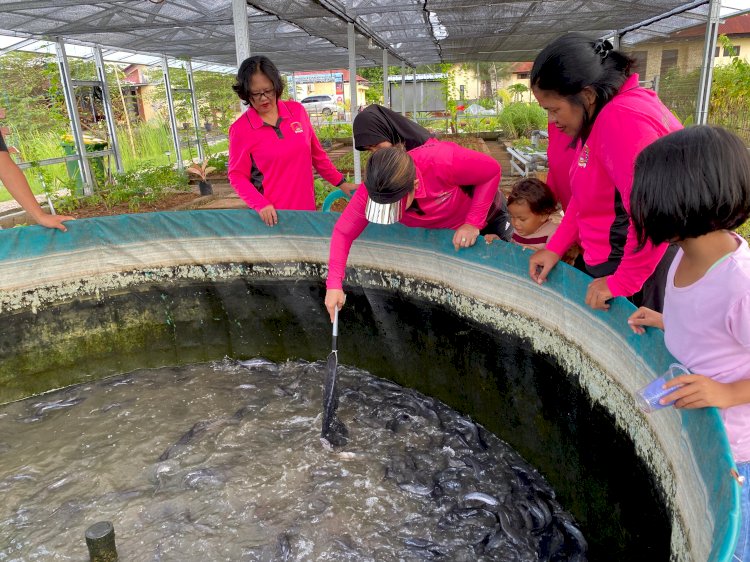 Penuh Sukacita, Bhayangkari Polres Kupang Panen Lele Bioflok di Taman Eko Wisata Tantya Sudirajati