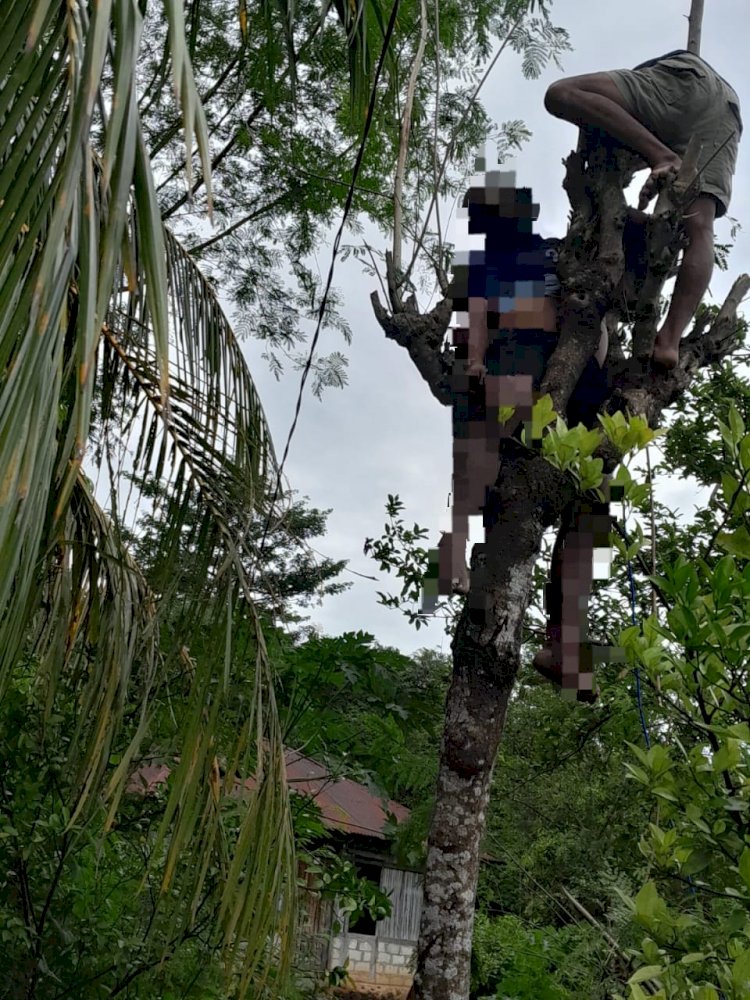 Tersengat Listrik Tegangan Tinggi, Warga Tesbatan 1 Meninggal Dunia