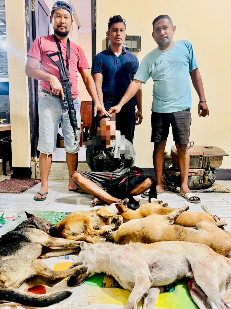 Bawa Lima Ekor Anjing Curian, Pelaku Pencurian Hewan Dibekuk Resmob Polres Kupang di Sulamu