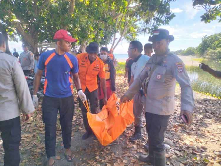 Pria di Kabupaten Kupang Diterkam Buaya Saat Mandi di Muara Naus, Polisi dan Warga Lakukan Pencarian