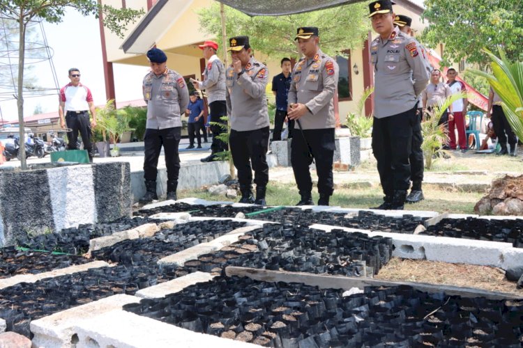 Dari Kelor hingga Bioflok, Kapolda NTT Pantau Inovasi Ketahanan Pangan Polres Kupang